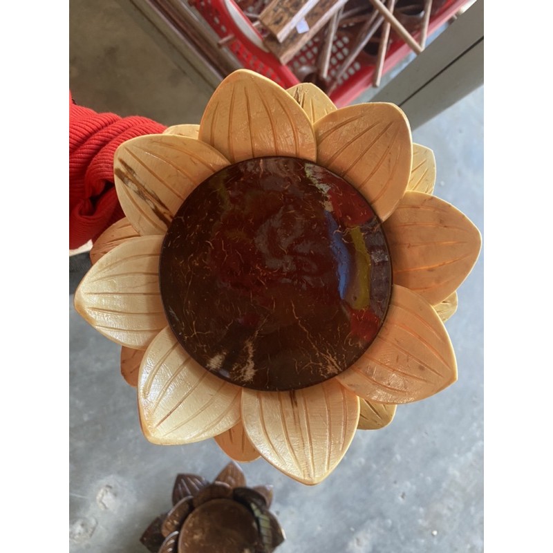 Dĩa chưng trái cây / bánh kẹo hình hoa sen gáo dừa