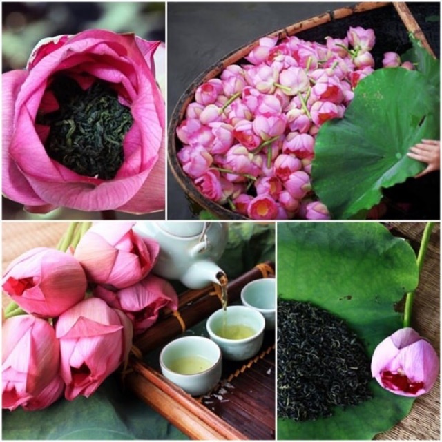 🍵 TRÀ SEN TÂY HỒ - TINH HOA CỦA ĐẤT TRỜI THĂNG LONG👍👍👍