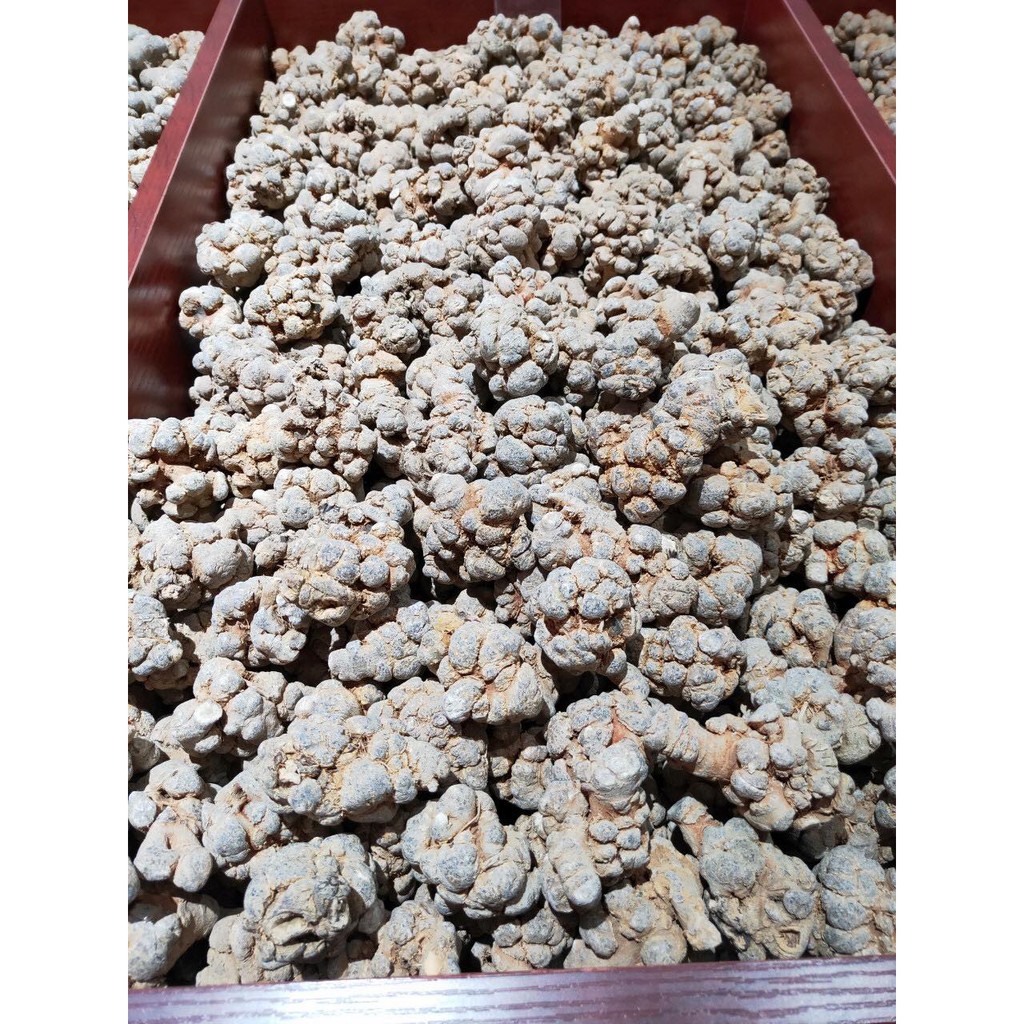 Củ tam thất Bắc khô 500G Hàng chuẩn ngon (Video thật)