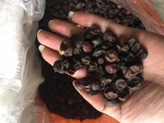 Hạt mắc mật khô tây bắc
