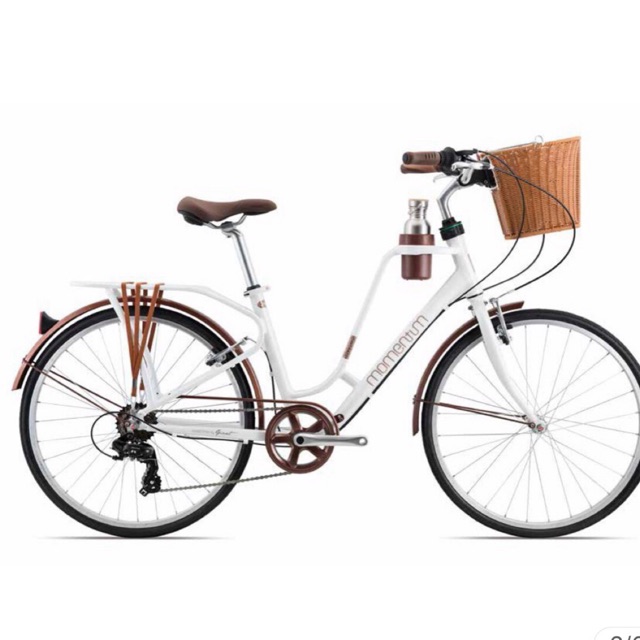 Xe đạp momentum 2019