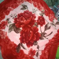 Mền lông dày cao cấp 1m6*2m