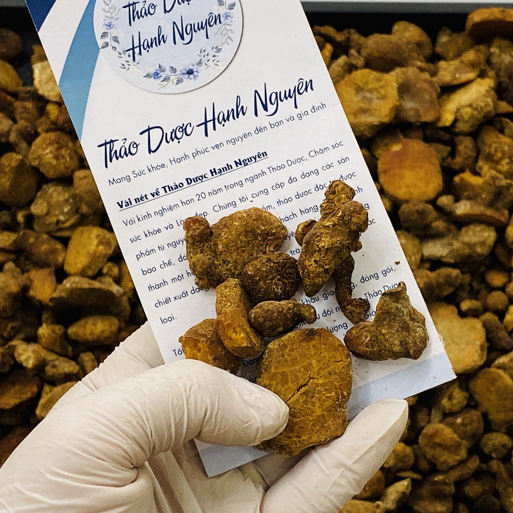 [Video thật] Bán Hạ Chế_Có hút chân không bảo quản_500gr-1kg