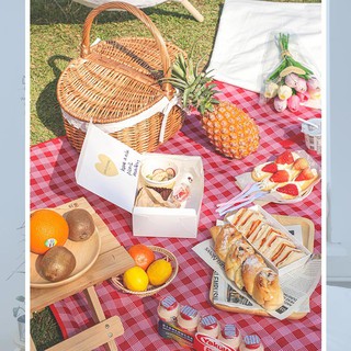 Thảm dã ngoại picnic du lịch