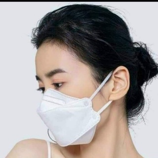 Khẩu trang FAMAPRO 4D-HỘP