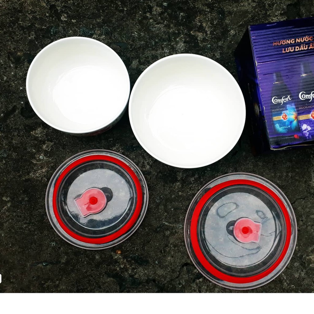 Bộ 2 thố sứ in hoa hồng nắp chân không | BigBuy360 - bigbuy360.vn