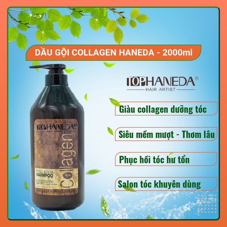 Dầu gội Collagen Haneda 2000ml, Dầu gội Collagen Cao cấp chăm sóc và phục hồi tóc hư tổn thumbnail