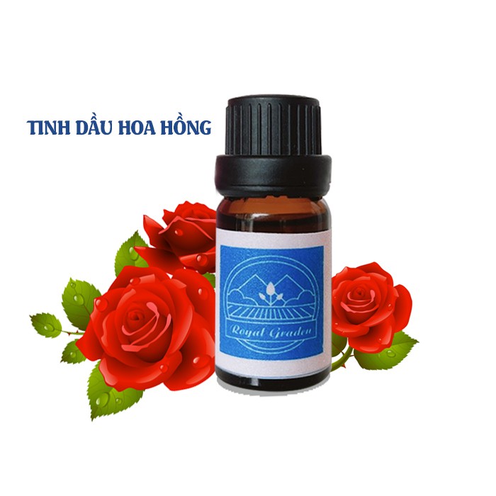 Tinh dầu hoa hồng thơm phòng 10ml