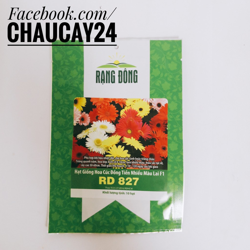 Hoa Cúc Đồng Tiền Nhiều Màu - Gói 10 Hạt Giống dễ trồng, hoa đẹp