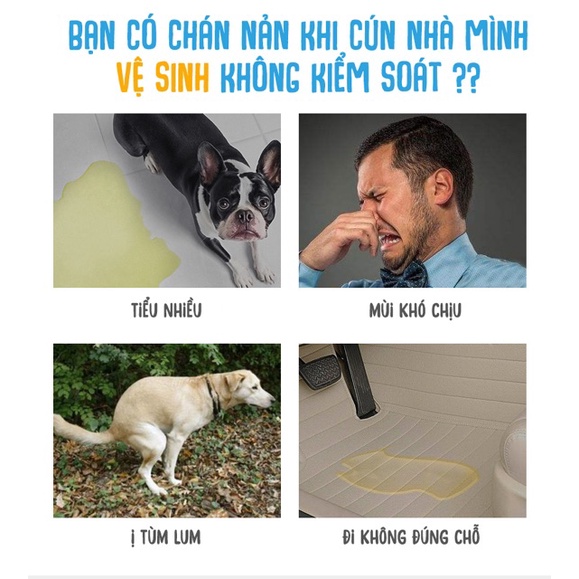 Tã Lót Chuồng Cho Chó đủ 4 kích cỡ từ S-XL (5 miếng)