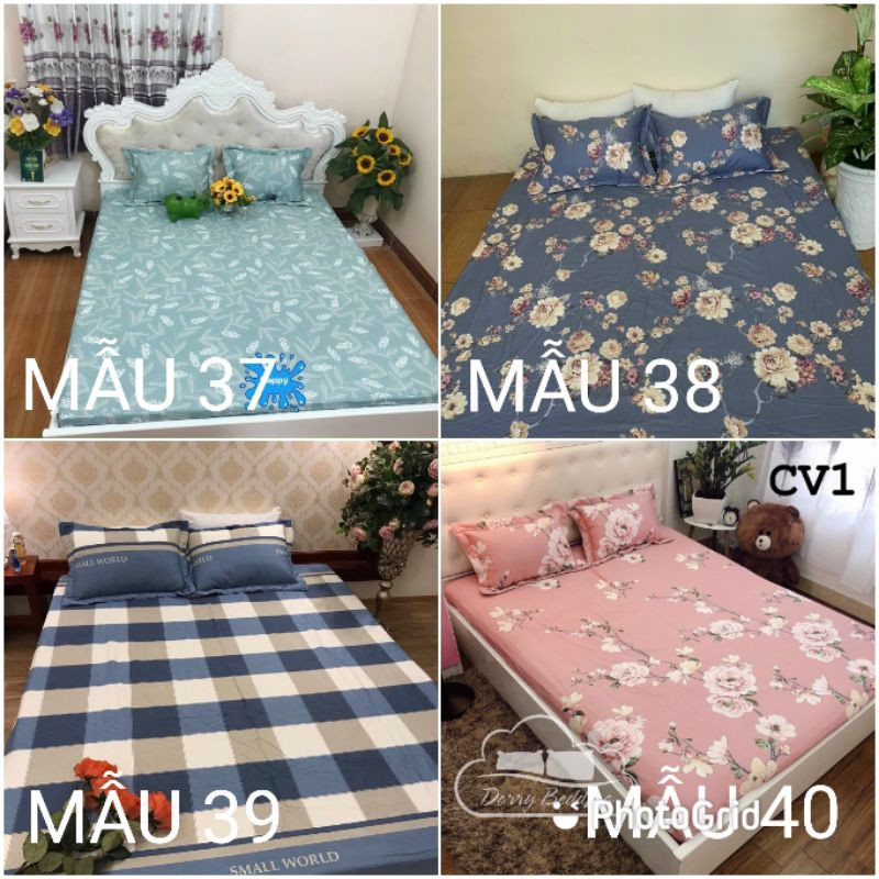 BỘ GA GỐI COTTON 100%, GA GIƯỜNG COTTON THOÁNG MÁT BO THUN ĐỦ SIZE