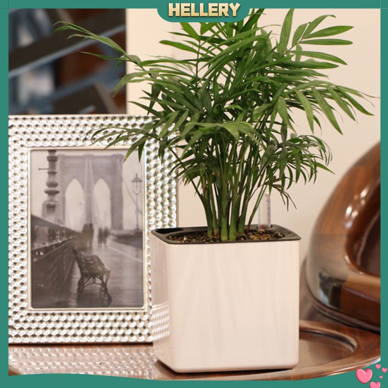 Chậu Trồng Cây Tự Tưới Nước Bằng Nhựa Hiện Đại