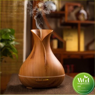 Máy xông tinh dầu hoa tulip - biên hòa đồng nai.