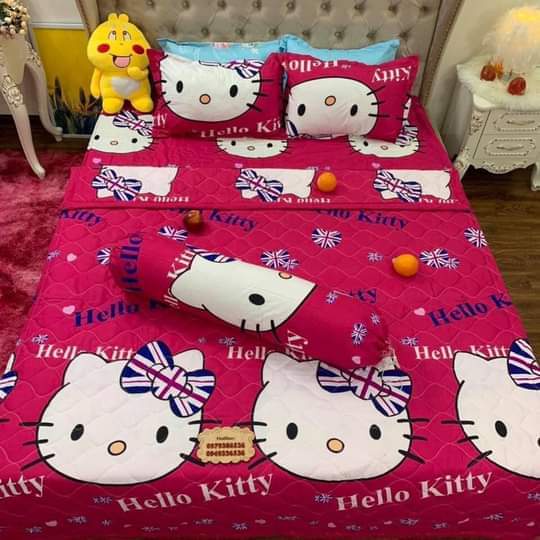 Chăn ga gối đệm 5 món đủ kích cỡ 1.6m 1m8 và 2m-2m2 đủ màu sắc và kích cỡ