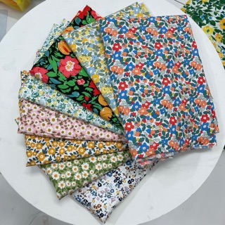 dong_phuong_lam_tuyet