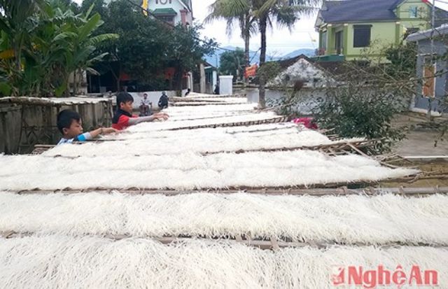 miến gạo sạch Nam Đàn (bún gạo)