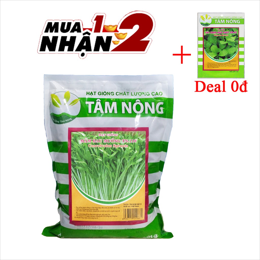 [Túi Lớn 1Kg] Hạt Giống Mầm Rau Muống Dễ Trồng, Rau Sạch Ban Công, Giảm Say Nắng, Tăng Đề Kháng, Nhuận Tràng, Dễ Tiêu