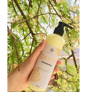 Dầu gội cúc la mã