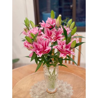 Lọ hoa thủy tinh pha lê trắng 30cm trụ bầu (các mẫu)