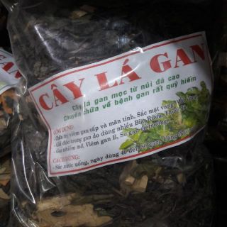 Cây lá gan 1kg Mát gan
