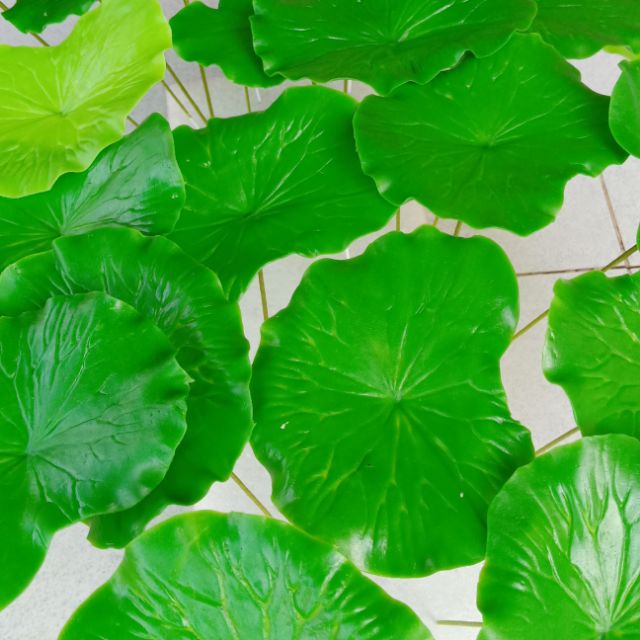 Lá sen bằng đất sét