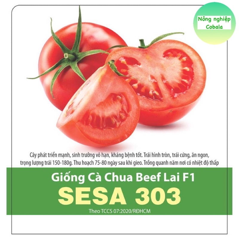 Hạt Giống Cà Chua Beef (SESA303) Sai Trái (3 Hạt)