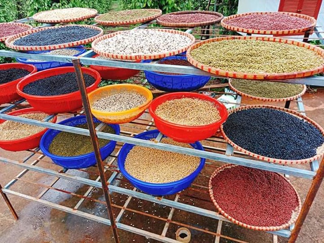 1KG NGŨ CỐC CHO BẦU - LỢI SỮA - TĂNG CÂN - GIẢM CÂN( HỘP LỚN) | BigBuy360 - bigbuy360.vn