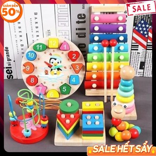 COMBO 6 MÓN ĐỒ CHƠI GỖ PHÁT TRIỂN TRÍ TUỆ CHO BÉ