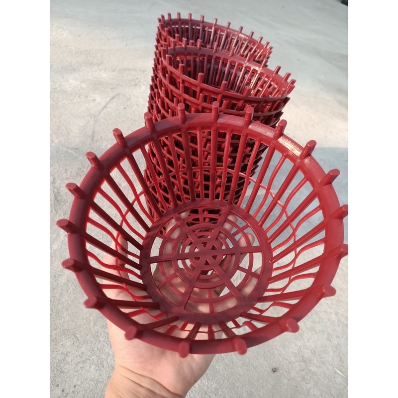 chậu nhựa trồng Lan có bán phụ( lan que) chắc chắn, đủ sezi(phi 20-26)