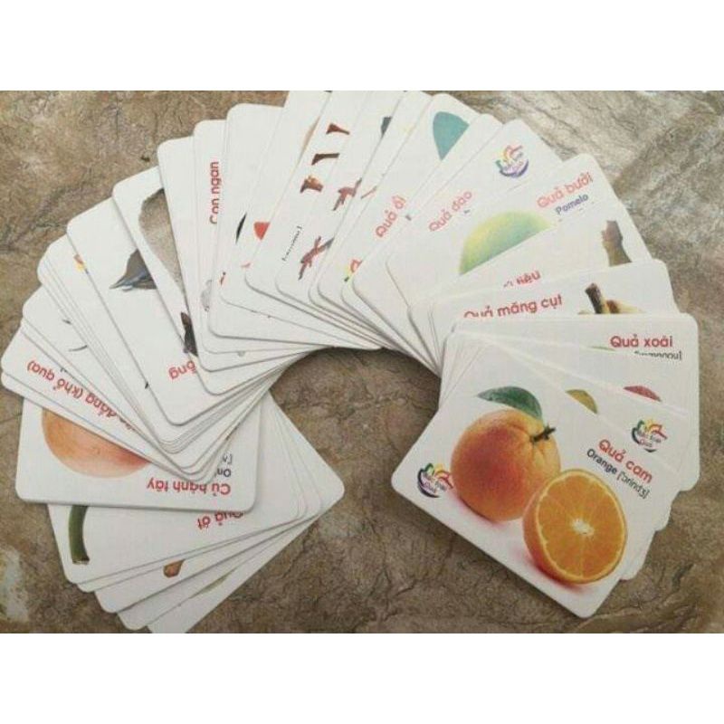 Bộ thẻ học thông minh thiết kế kế song ngữ tiếng việt và tiếng Anh, với 16chủ đề 416thẻ