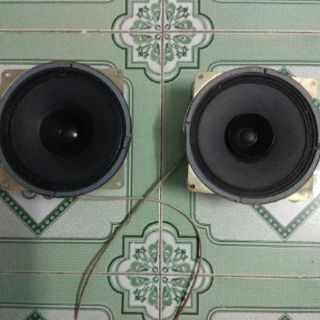 Loa toàn dải của Nga