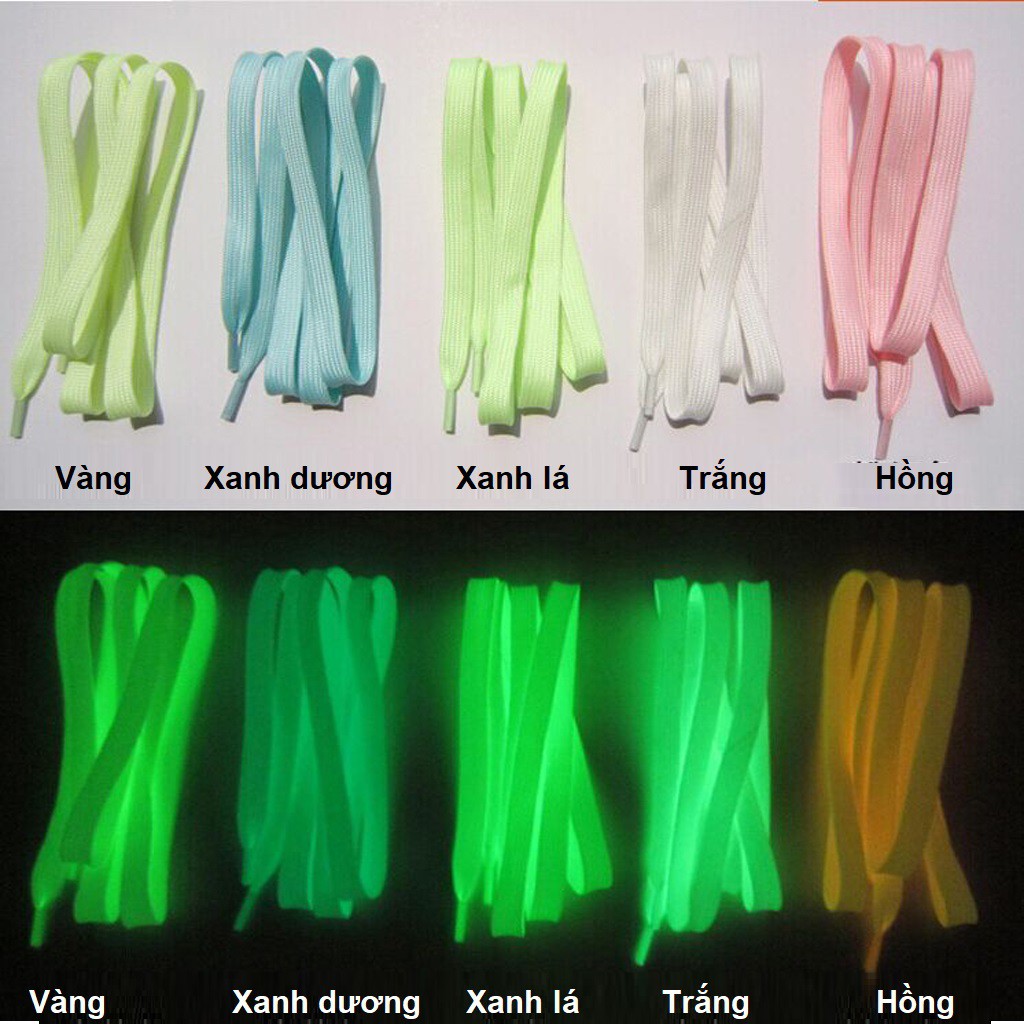 [Tặng 1 dây] Combo 3 Dây giày dạ quang phát sáng – dây giày phản quang – Dozimax – DG01 ( đủ màu)