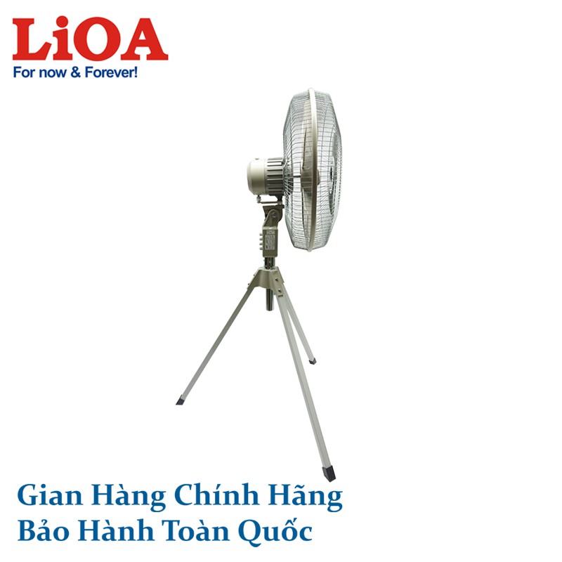 Quạt cây dân dụng công nghiệp LiOA QC-550LG