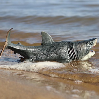 Đồ chơi mô hình cá mập biển megalodon sinh học cho bé