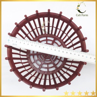 Chậu trồng lan F20