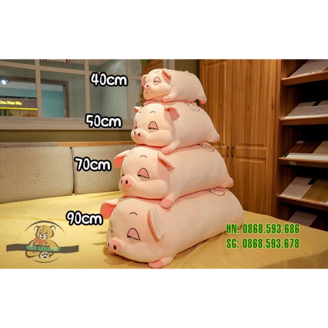 GẤU BÔNG -THÚ BÔNG - XE CHO BÉ