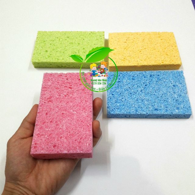 THCS - Bọt biển Cellulose Sponges