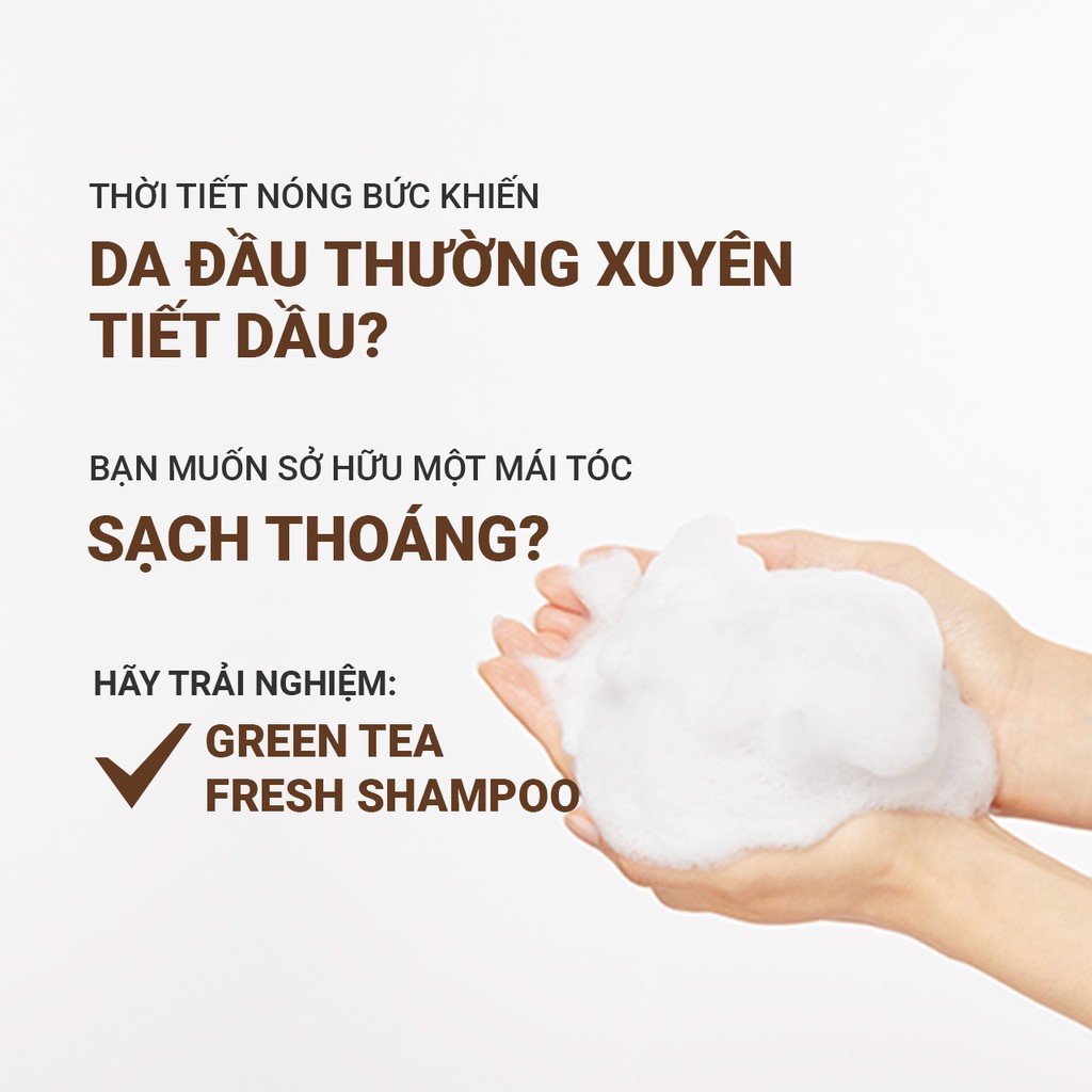 [Mã COSIF05 giảm 10% đơn 400K] Dầu gội trà xanh innisfree Green Tea Fresh Shampoo hạn chế bết tóc 310ml