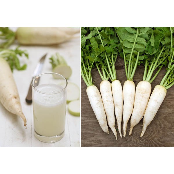 Hạt giống củ cải trắng HN 20gr