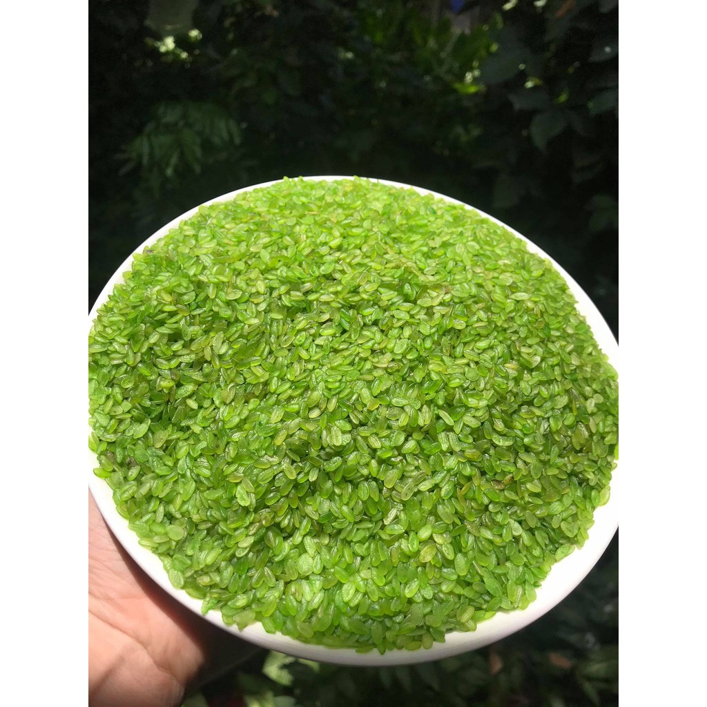 0.5KG CỐM XANH KHÔ LÀNG VÒNG LOẠI 1 THƠM NGON