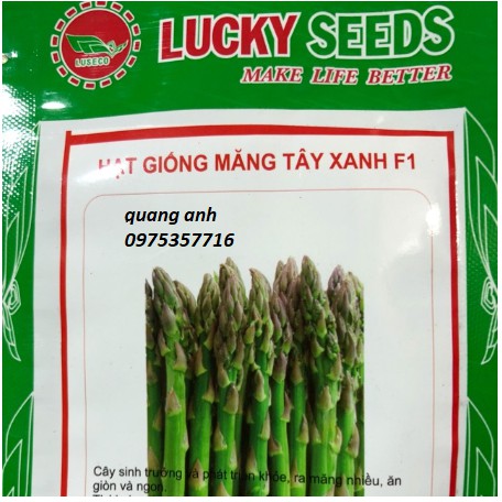 HẠT GIỐNG MĂNG TÂY XANH F1