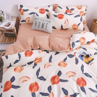 Set Cotton Poly Đào kẻ