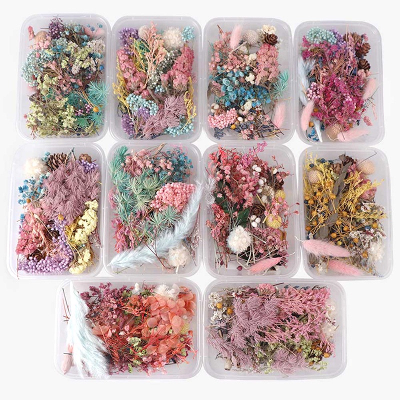 Hoa khô nhập khẩu trang trí epoxy resin, làm handmate loại đẹp