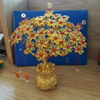Cây phát tài phát lộc
