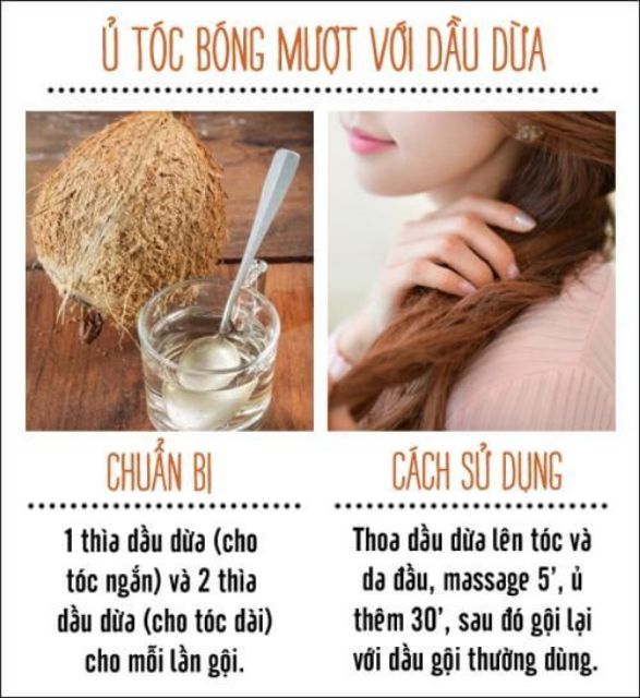 Dầu Dừa Nguyên Chất Làm Đẹp Da - Mỹ Phẩm Handmade