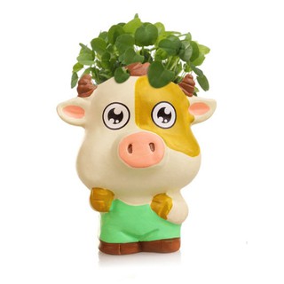 Chậu hoa mini để bàn hình heo
