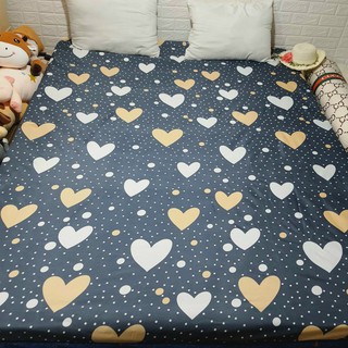 GA CHỐNG THẤM COTTON