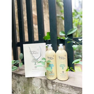 Cặp gội xả Biotin Collagen Trắng