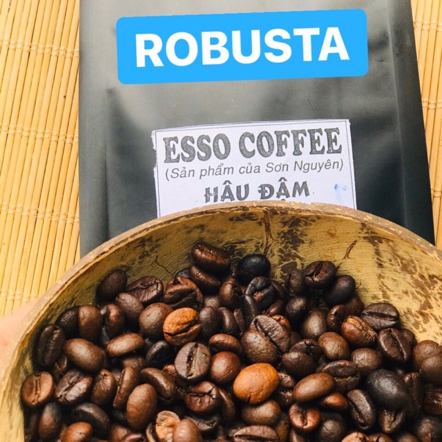 ROBUSTA - TỔNG ĐẠI LÝ CAFE HẠT