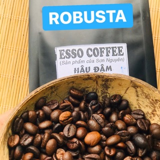 ROBUSTA - TỔNG ĐẠI LÝ CAFE HẠT